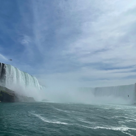 Meet your Posher, Skyler - Picture 8 of 9